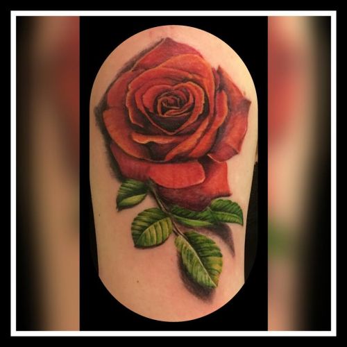 Tattoo Rose Rosentattoo